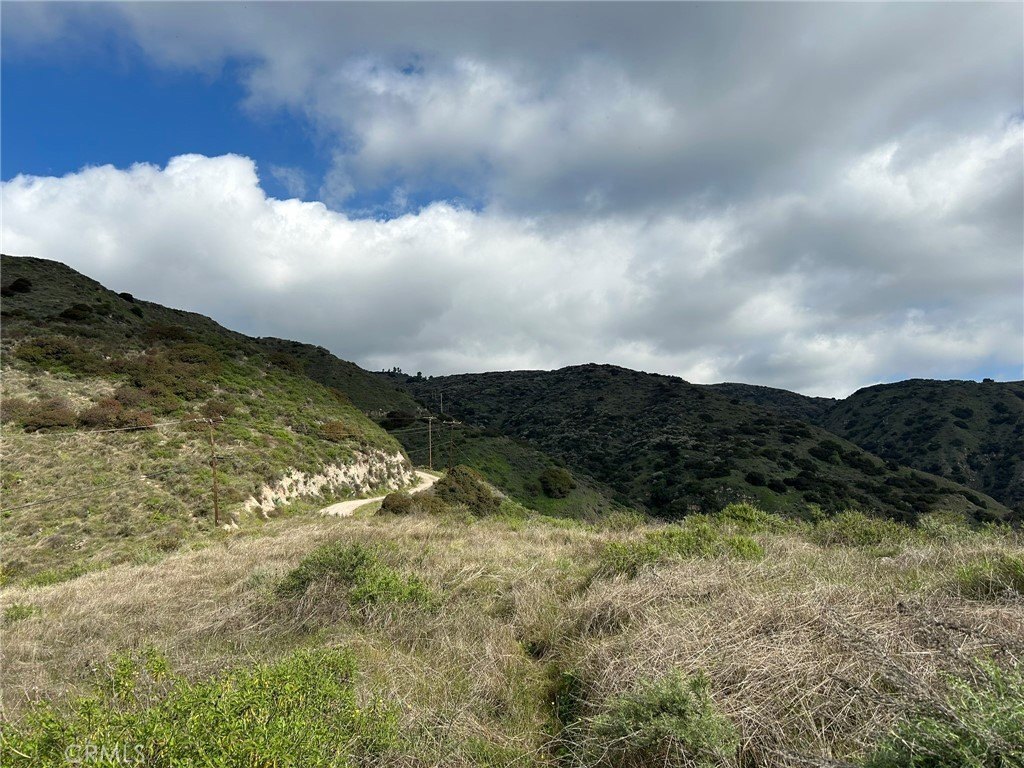 Picture 46