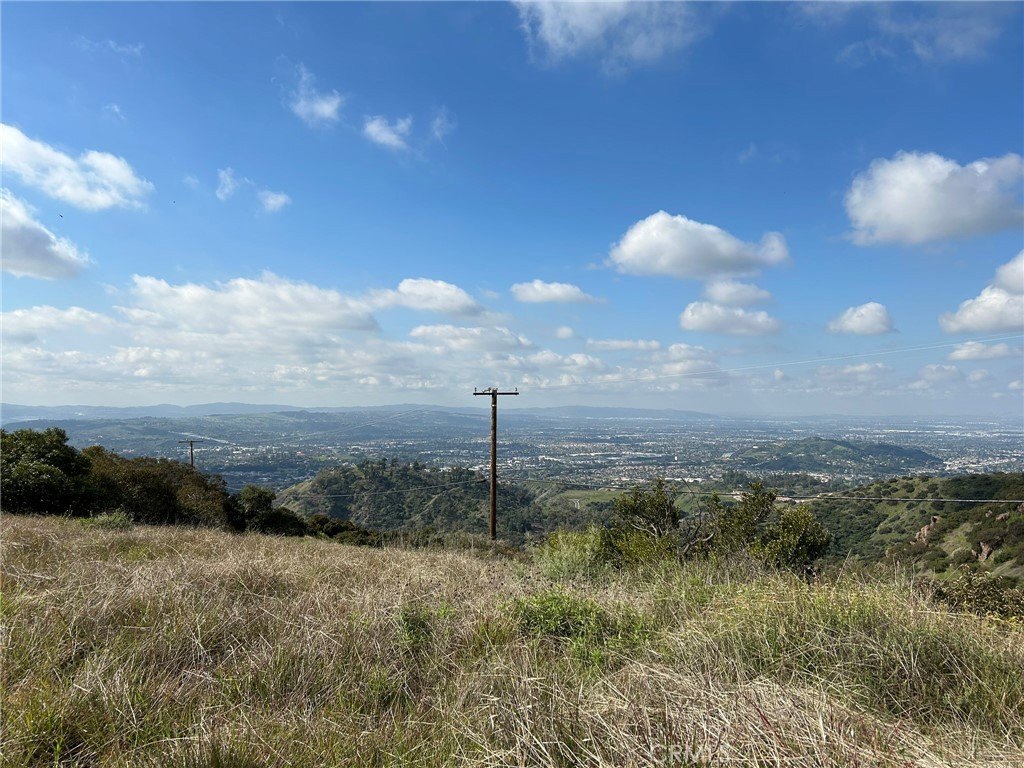 Picture 35