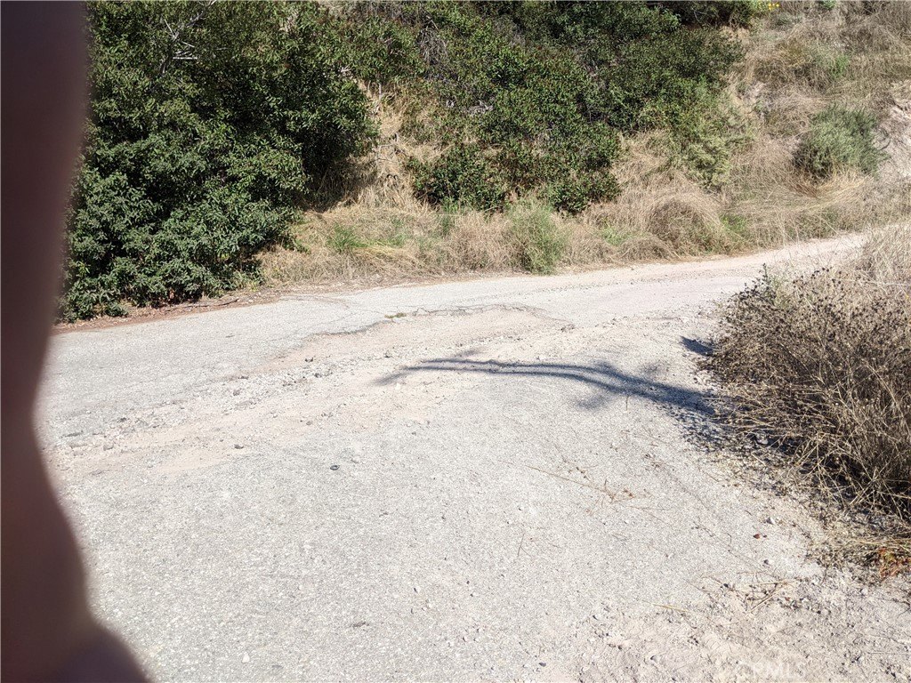 Picture 47