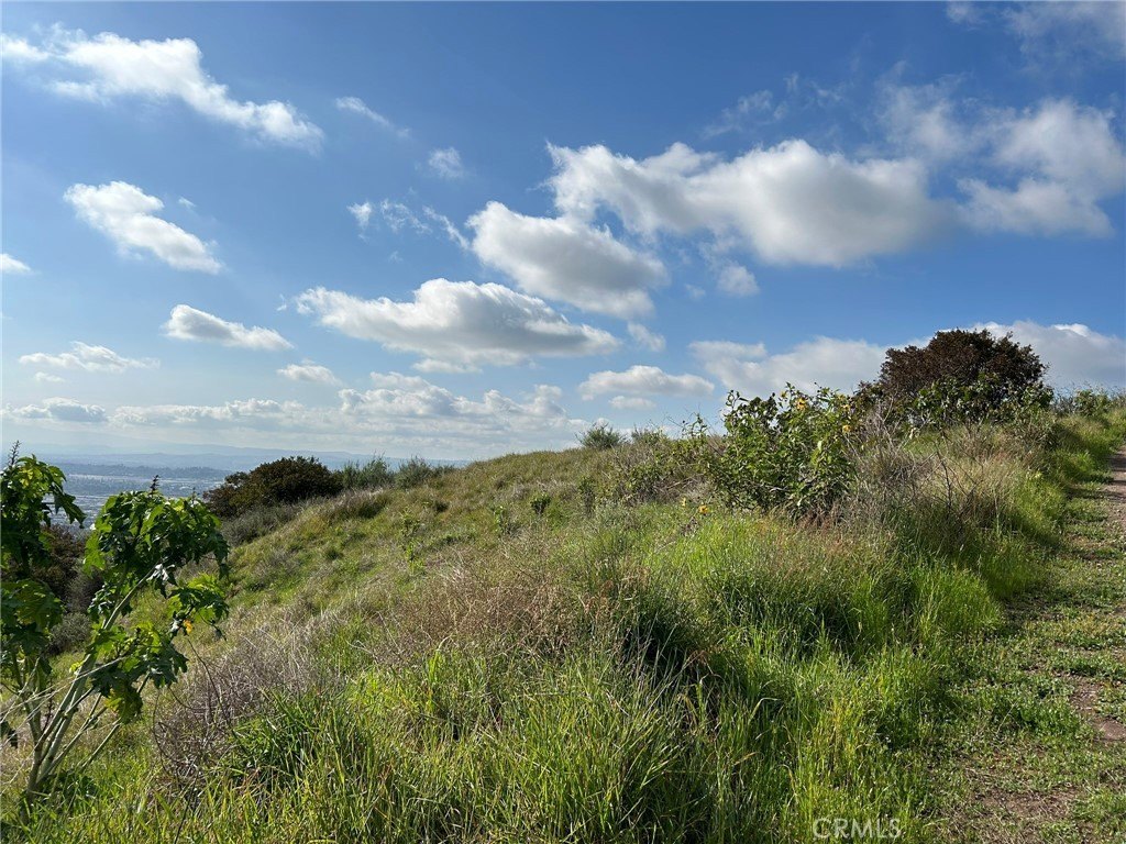 Picture 29