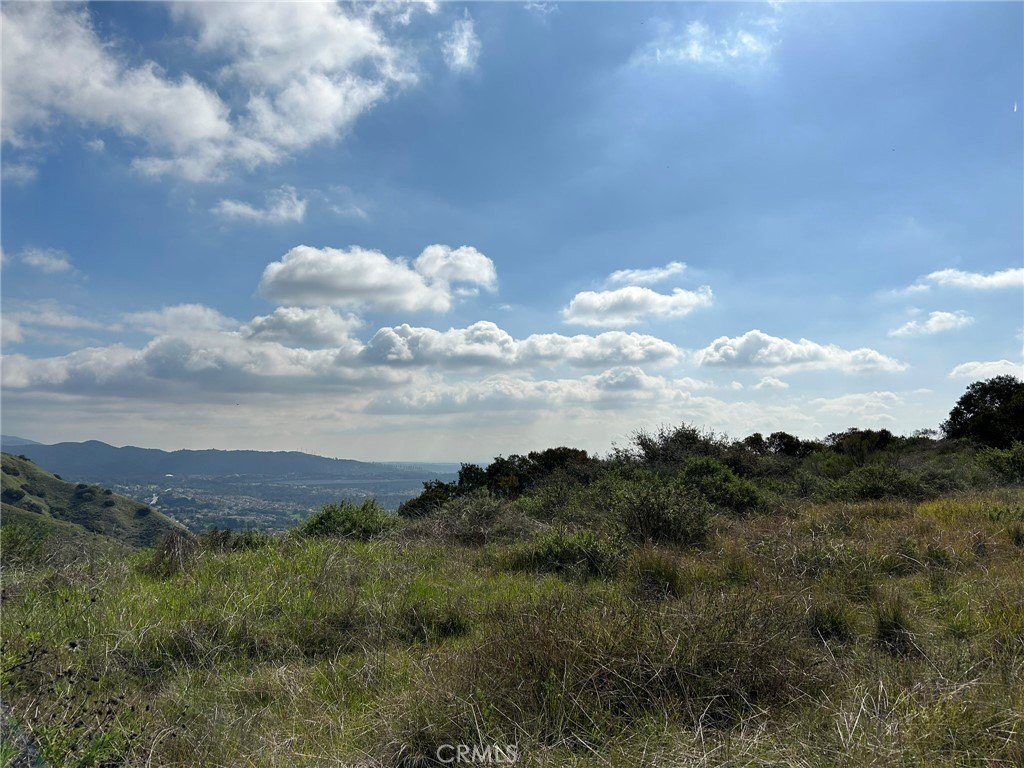 Picture 44