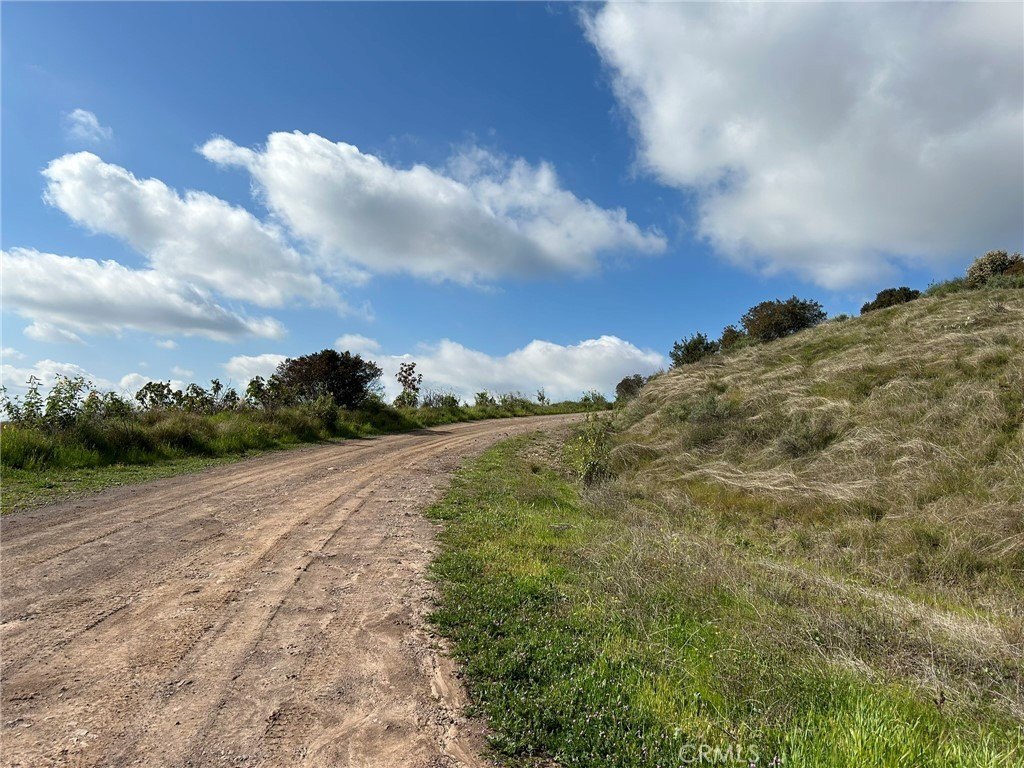 Picture 17