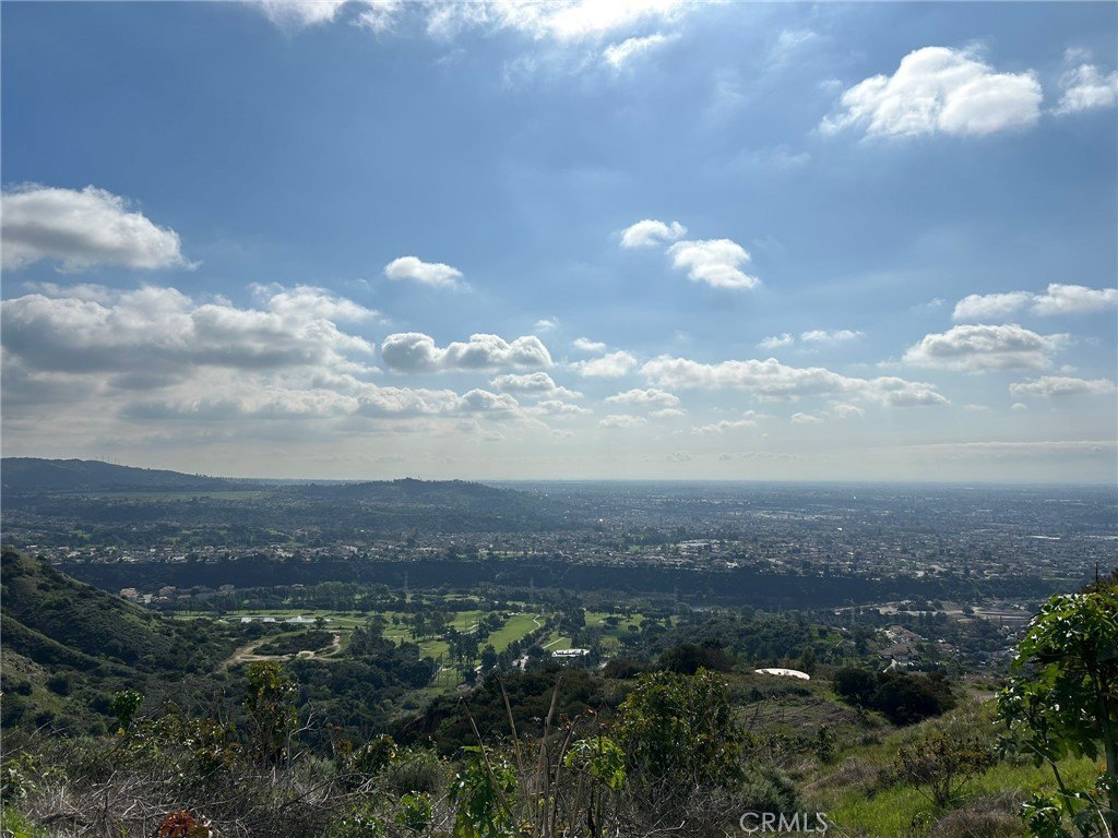 Picture 28