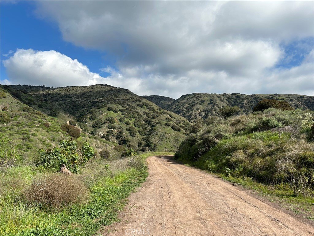 Picture 13