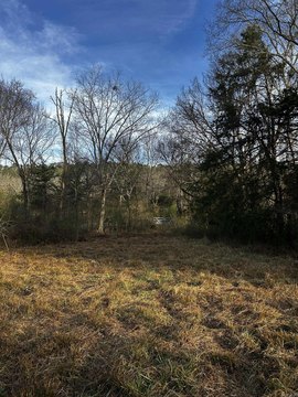 Land Near Ouachita National Forest