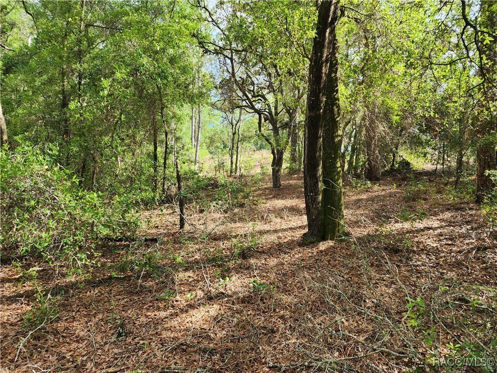 Corner Lot in Growing Community