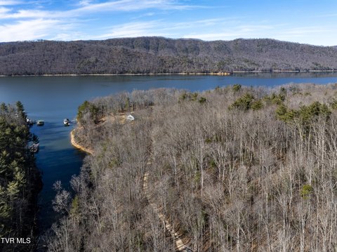 Watauga Lake Waterfront Land