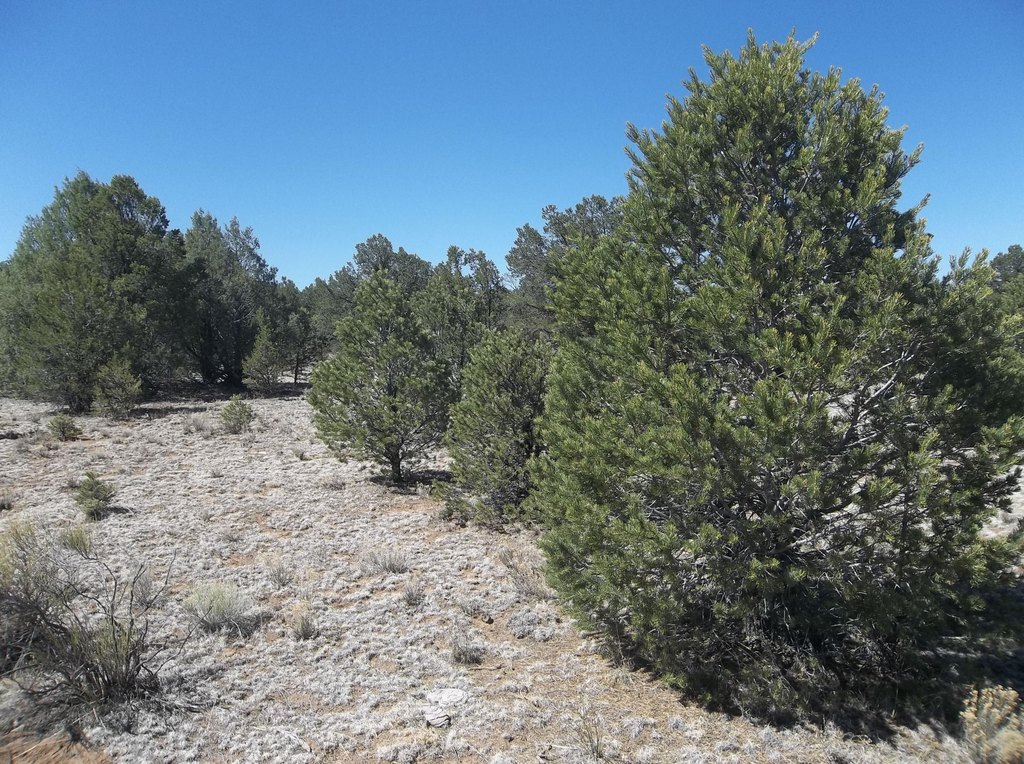 Picture 19