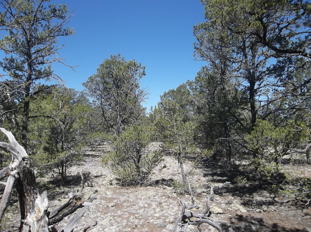 Picture 31