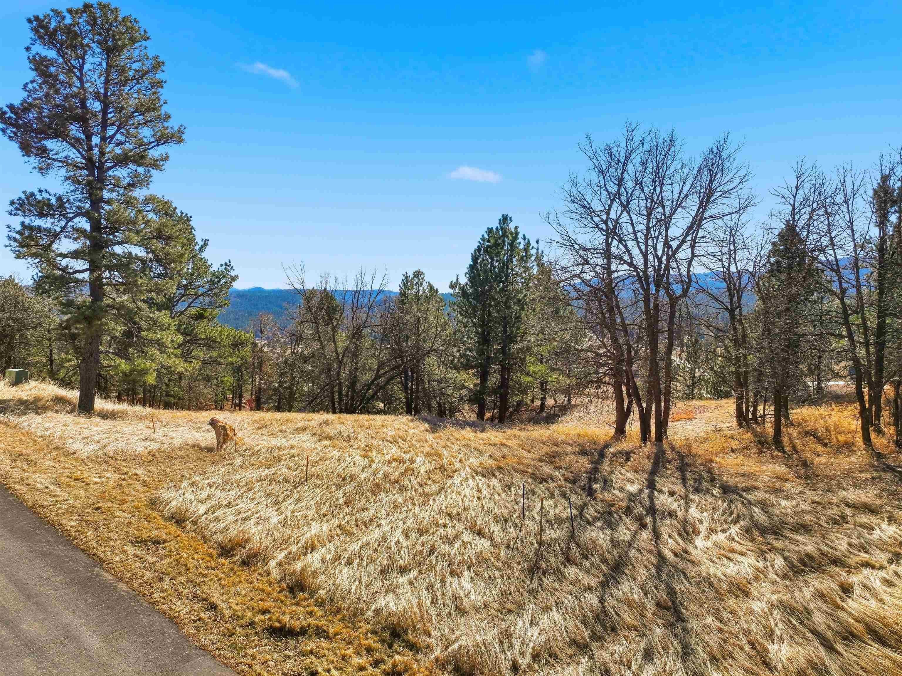 Buildable Lot with Golf Course View