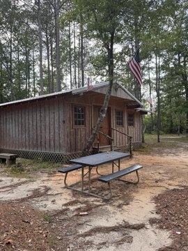 Heavily Wooded Hunting Land