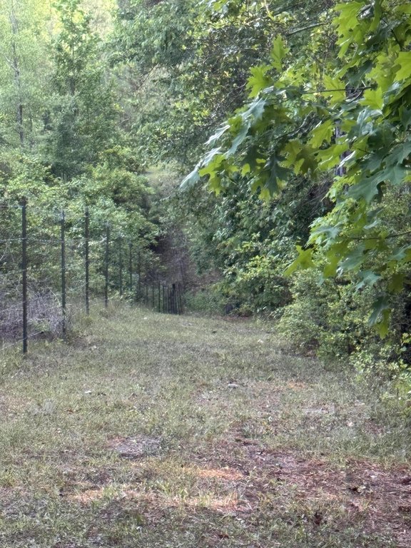 Picture 10