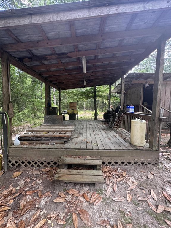 Picture 19