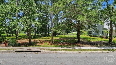 Land, Waverly, GA