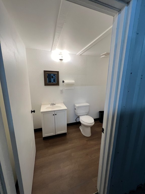 Picture 37