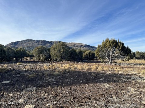 20 Acres in Westwood Ranches