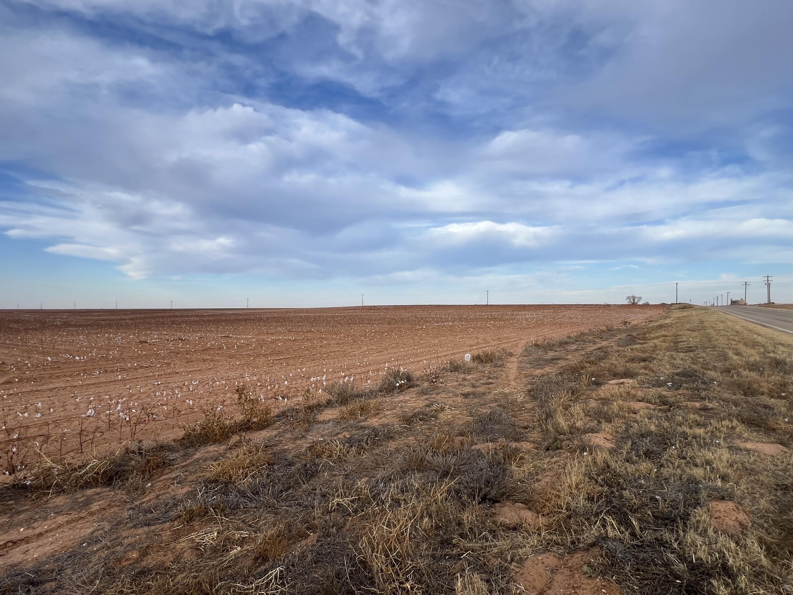 80 Acres Near Lamesa, TX
