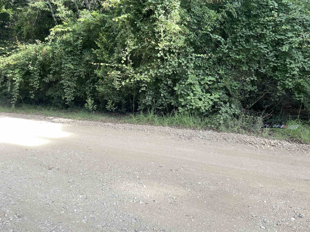 Picture 26