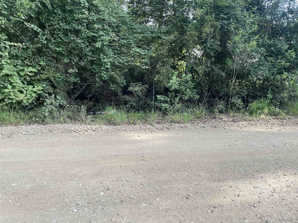 Picture 23