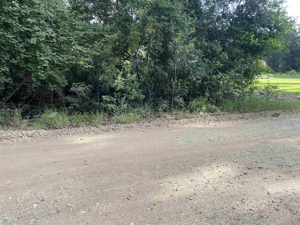 Picture 22