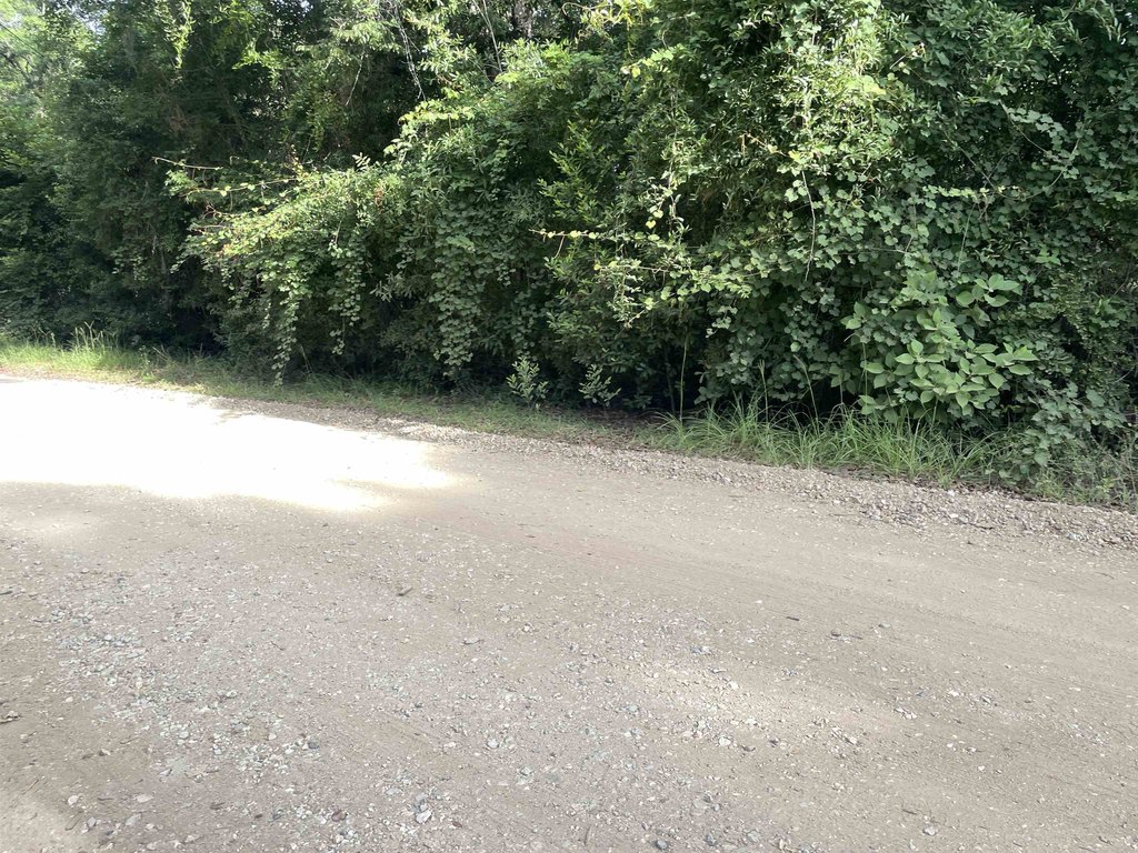 Picture 27