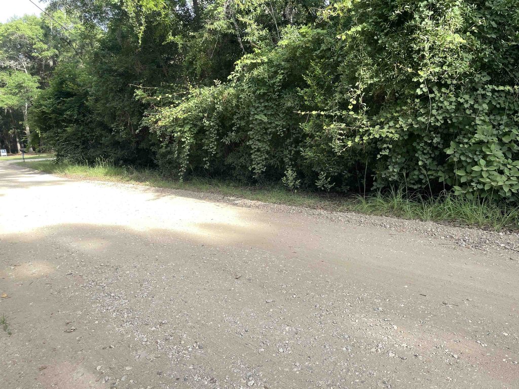 Picture 28