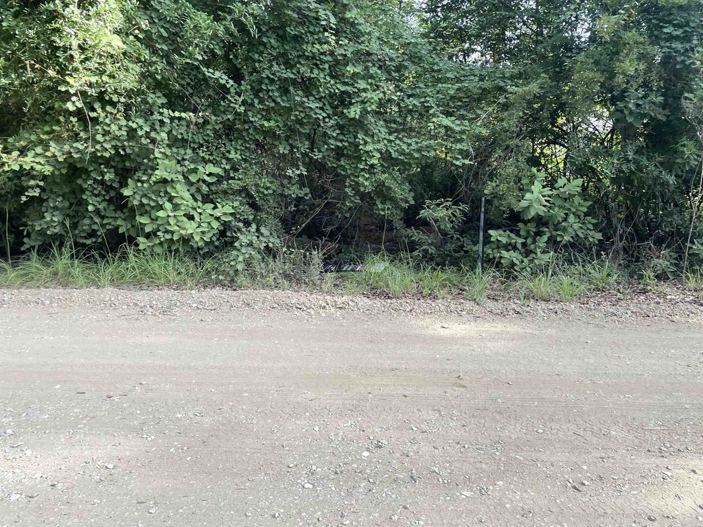 Picture 25