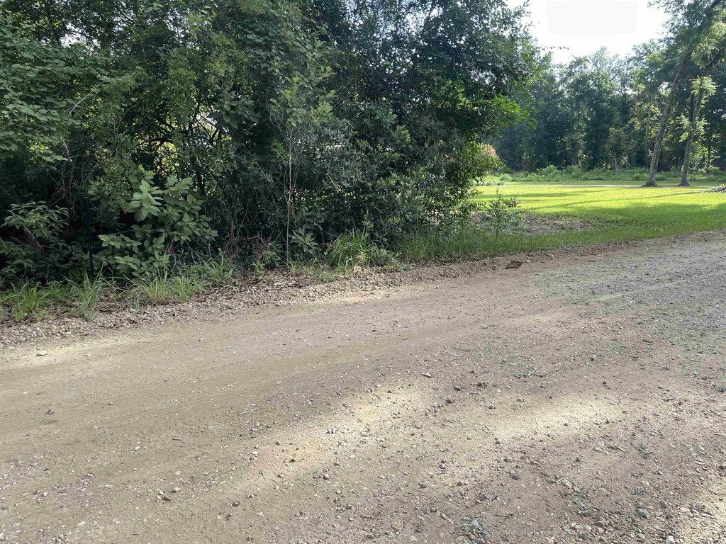 Picture 21