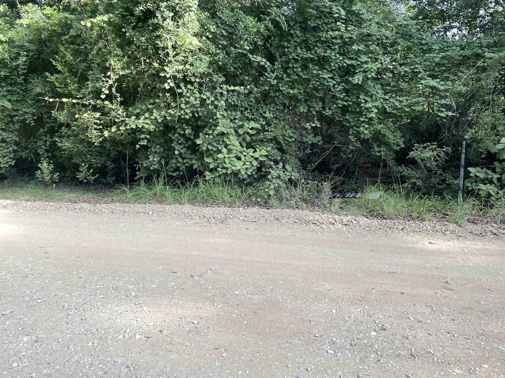 Picture 24