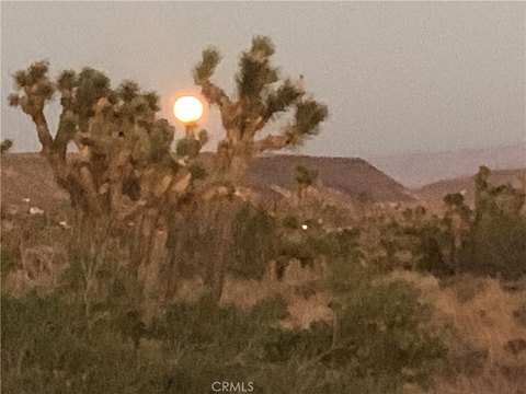 Land, Pioneertown, CA