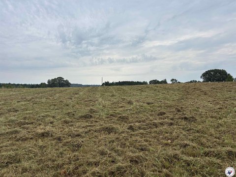 Linden, TX Land For Sale
