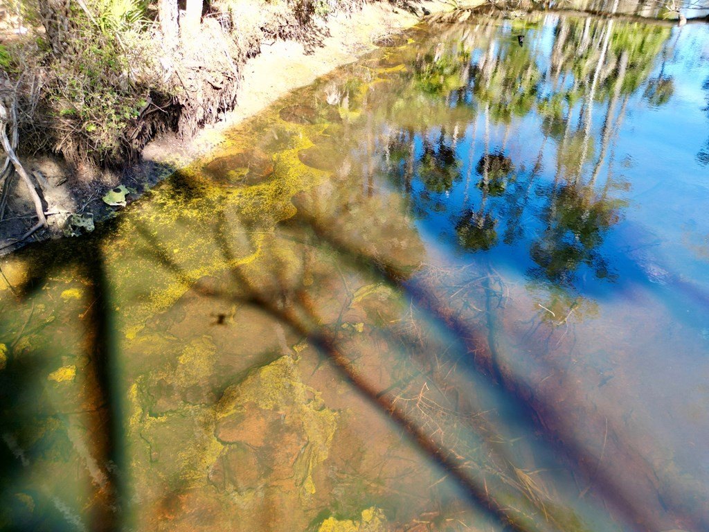 Picture 14