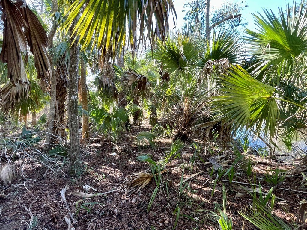 Picture 21