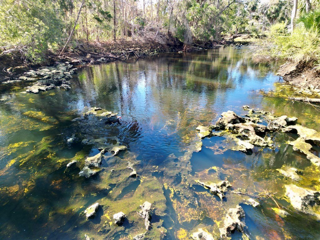 Picture 11