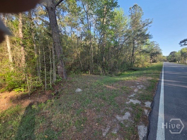 Residential Land in Midway, Georgia