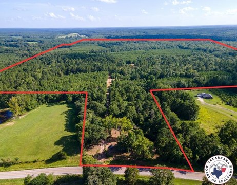 East Texas Hunting & Timberland