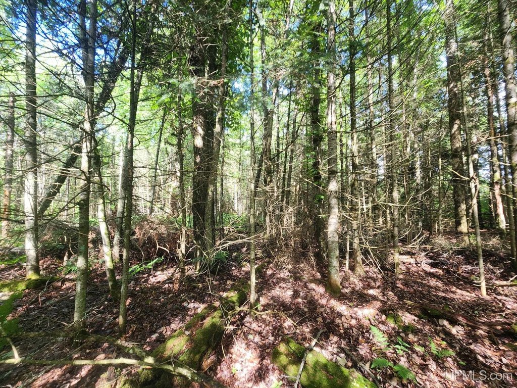 Picture 19