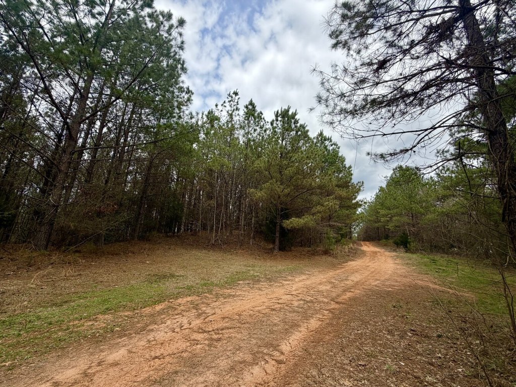Picture 27