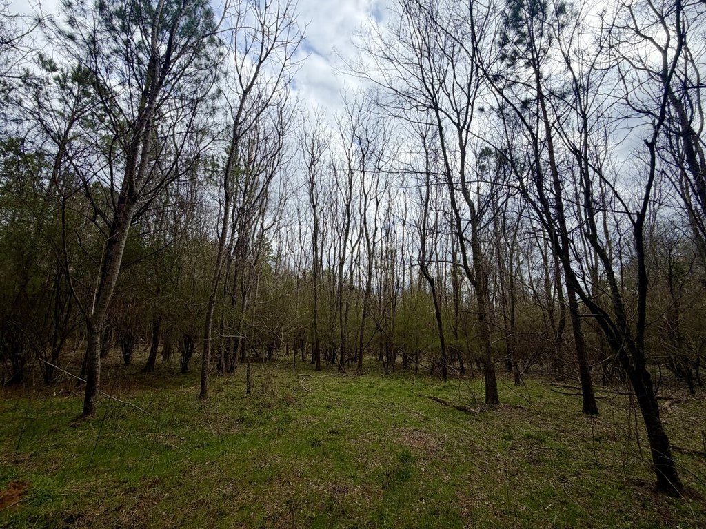 Picture 28