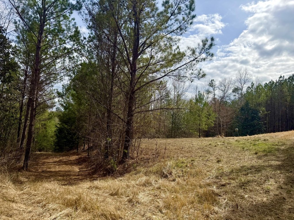 Picture 32