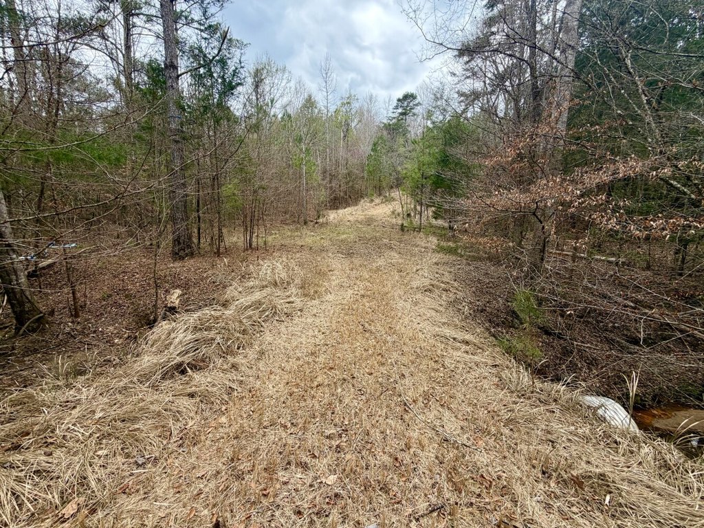 Picture 33
