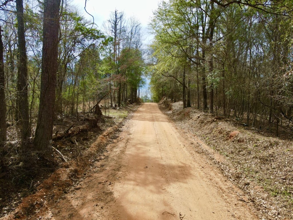 Picture 17