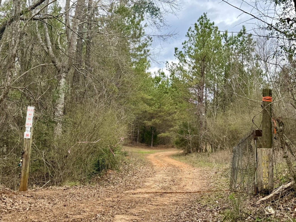 Picture 26