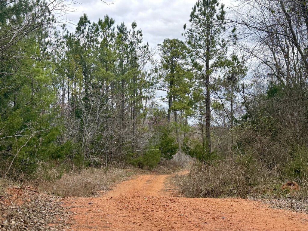 Picture 29