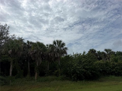 Land, PORT CHARLOTTE, FL