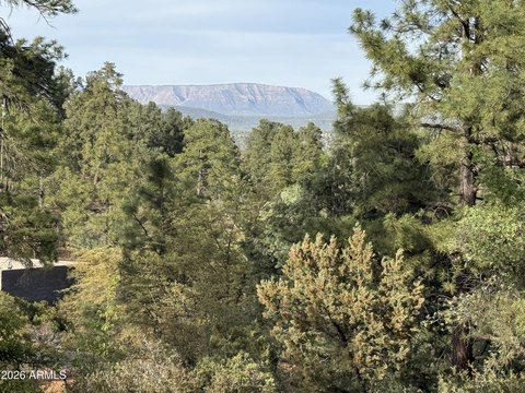 Land, Payson, AZ