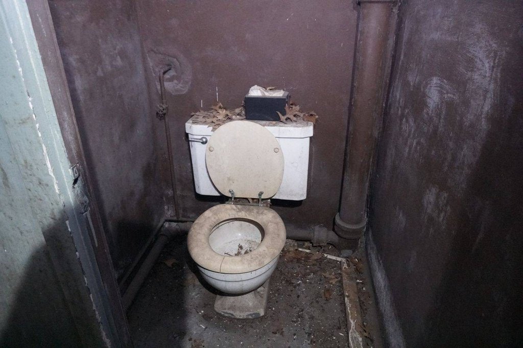 Picture 29