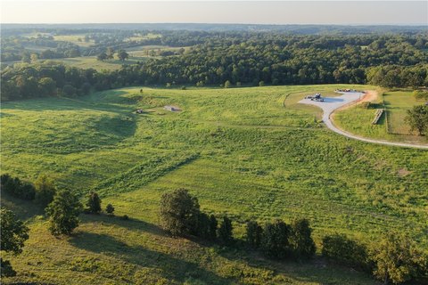 36 Acres Near Bergman
