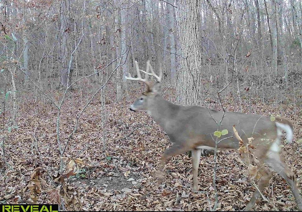 Picture 13
