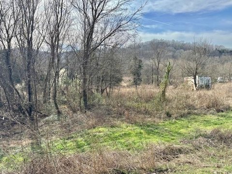 Hunting Land with Building Site
